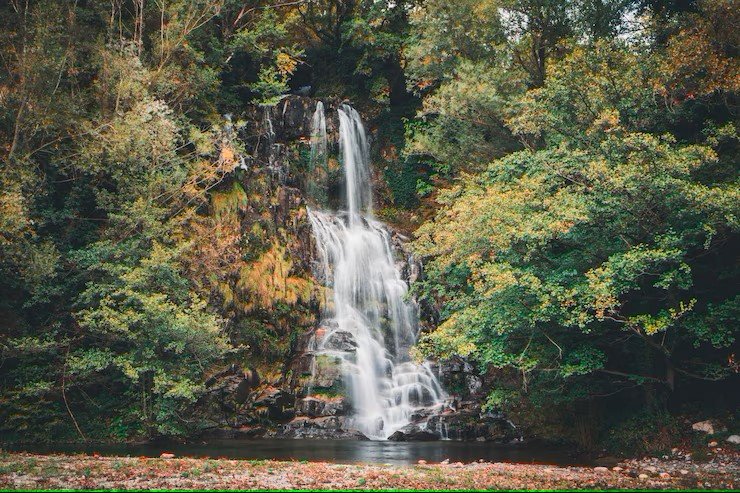 Scenic Spot